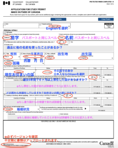 IMM1294　サンプル１枚目